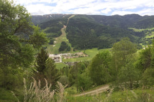 susannebrunner-sommer-ausblick