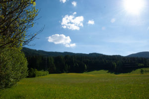 susannebrunner-sommer-ausblick2